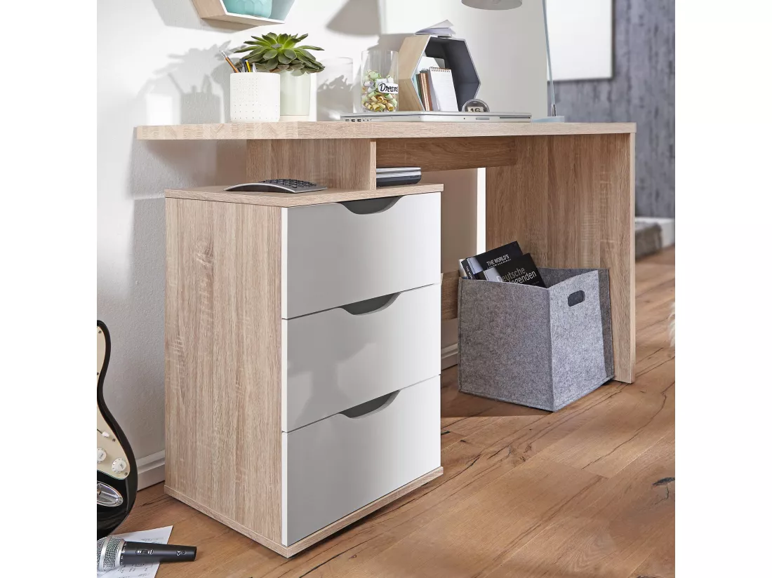 Table de bureau 120x76x53cm Table PC Table d'ordinateur Sonoma / Blanc
