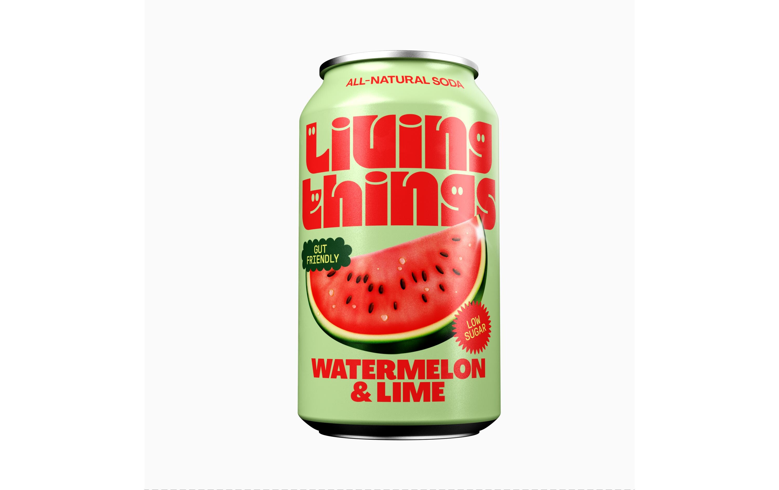 Soft-Drinks Watermelon & Lime 12 x 0.33 lNatürliche, leicht sprudelnde präbiotische Limonade