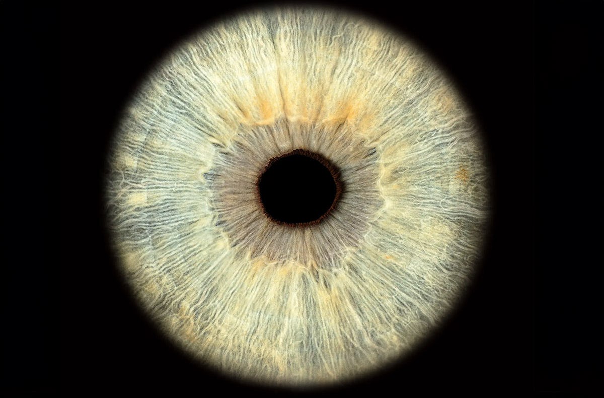 Iris Fotoshooting Aargau