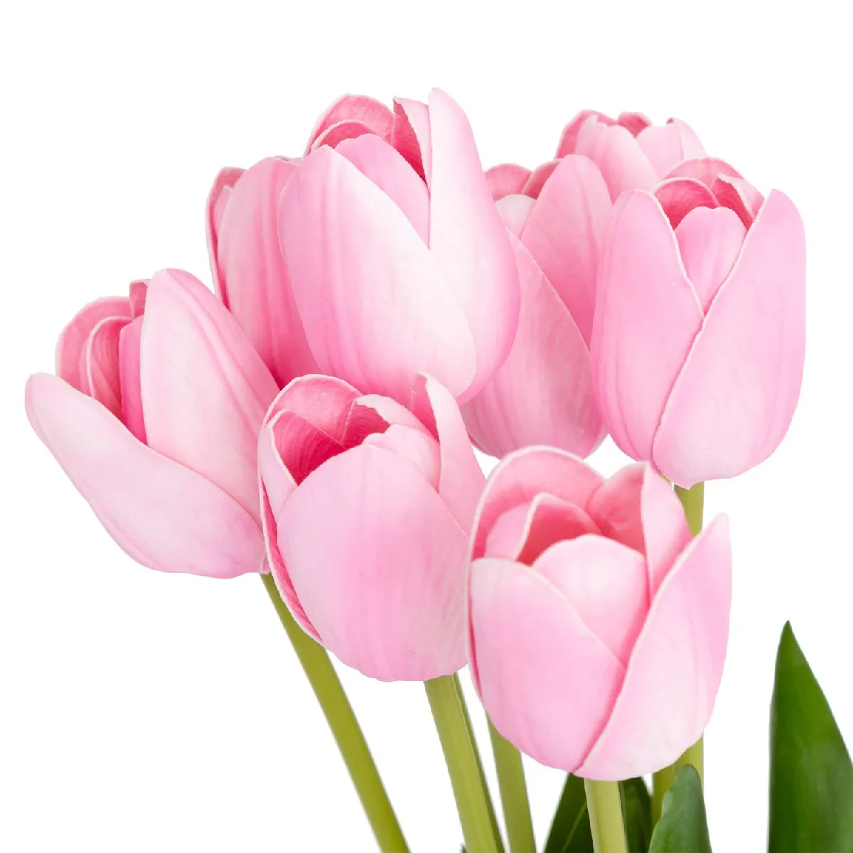 Atmosphera, Createur D'Interieur ATMOSPHERA Tulipes Artificielles 48 cm