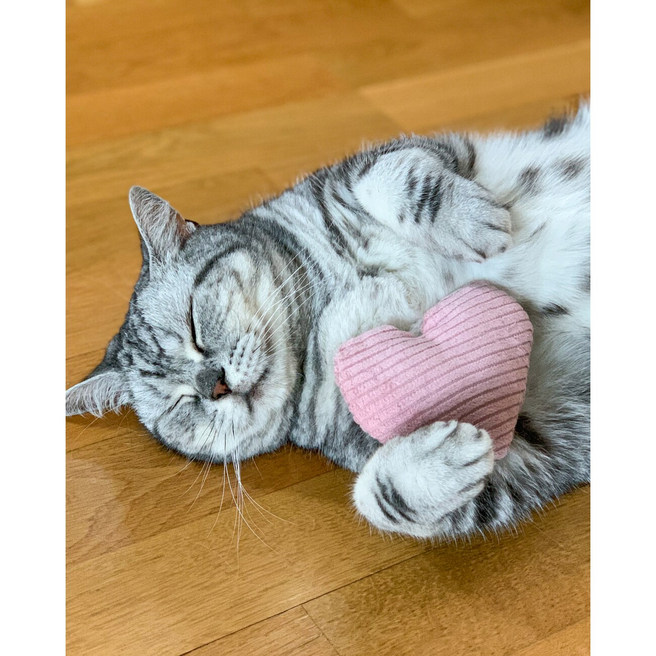 The Catery Baldriankissen Herz