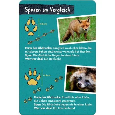 Coppenrath Verlag 50 Tierspuren - Nature Zoom (Blechdose)