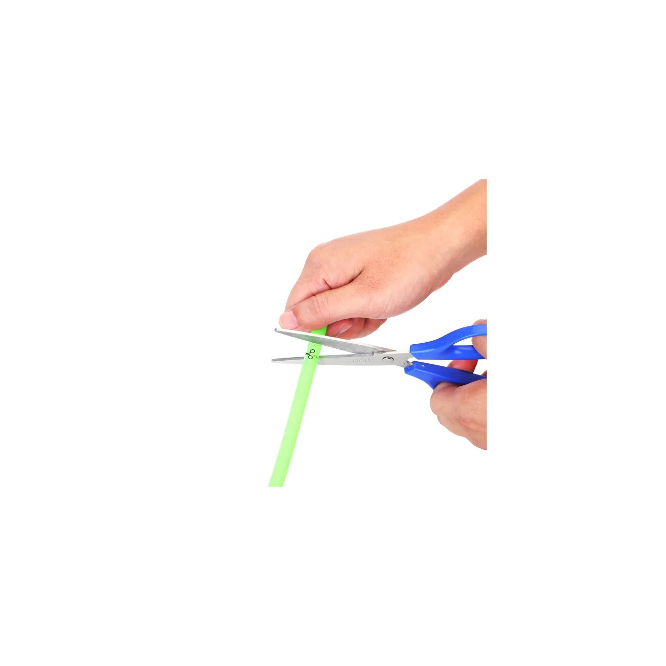 nobleza LED-Hundehalsband aus flexiblem Silikon – Zuschneidbar, Leicht, 3 Leuchtmodi grün