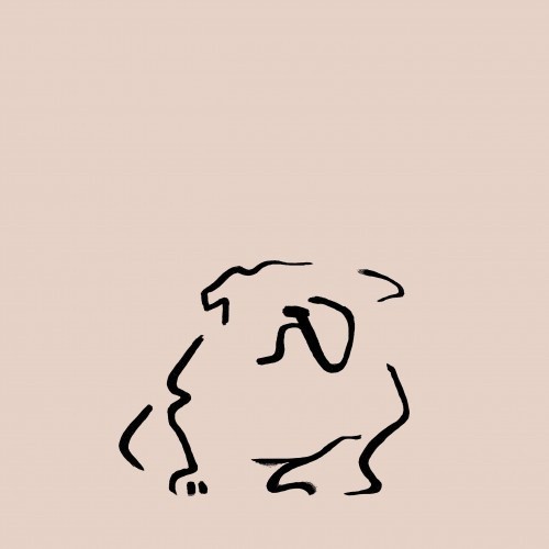 Ilustração de Bulldog rosa sem moldura