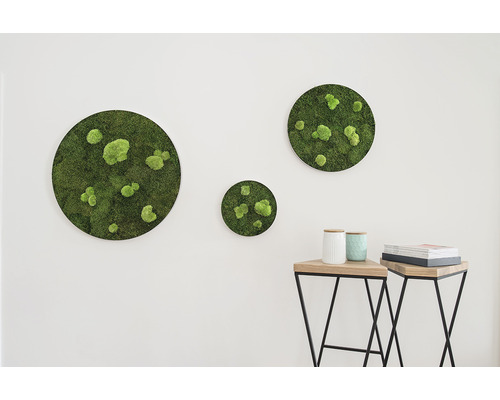 Mos schilderij bos & bal mos ellipsoïden set van 3 Ø 34 cm, 54 cm, 80 cm
