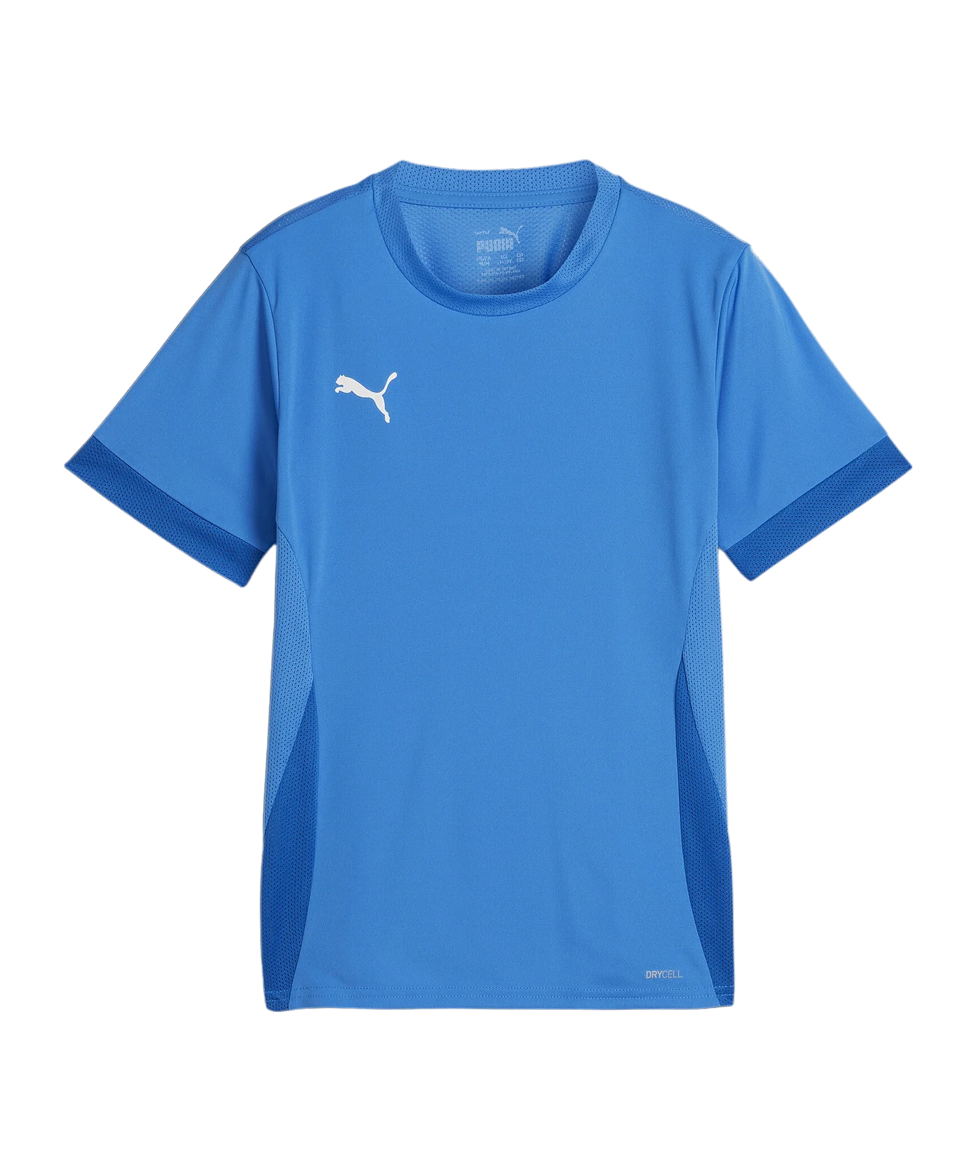 PUMA teamGOAL Matchday Trikot Kids Blau Weiss F02