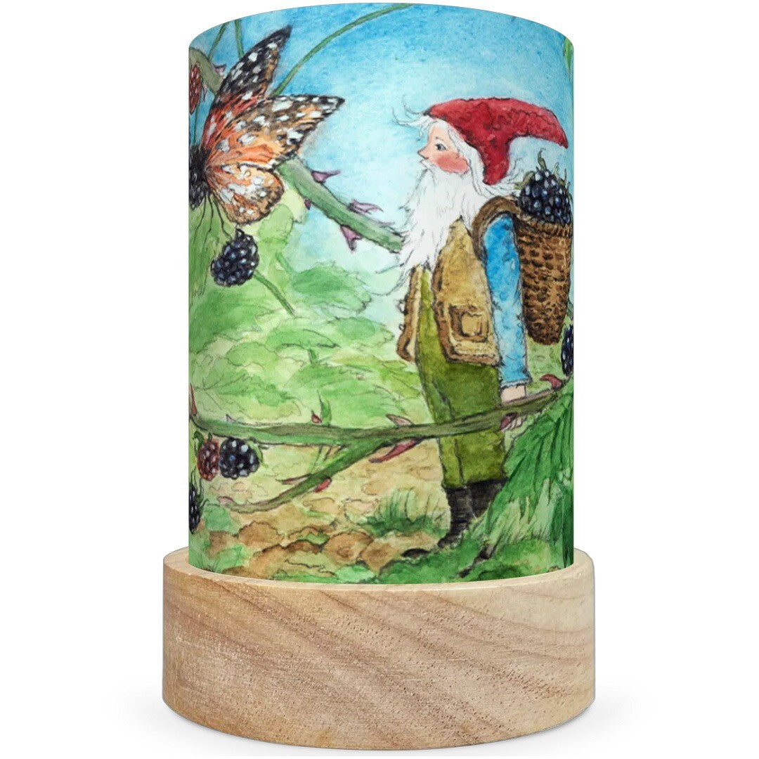 Toverlux lichtkaarten voor lantaarn the gnome