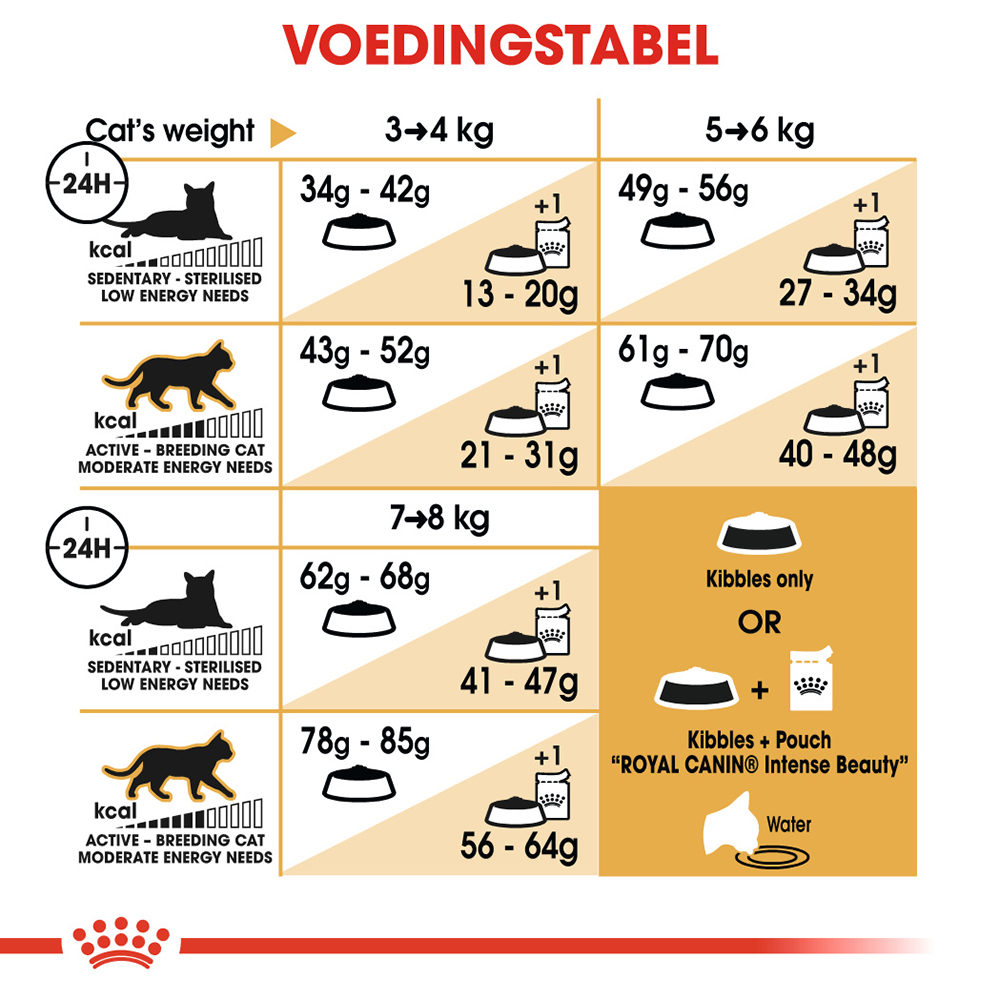 Royal Canin Ragdoll Adult - Kattenvoer
