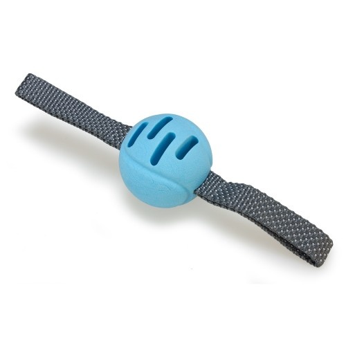 Bola azul para pegar e arremessar
