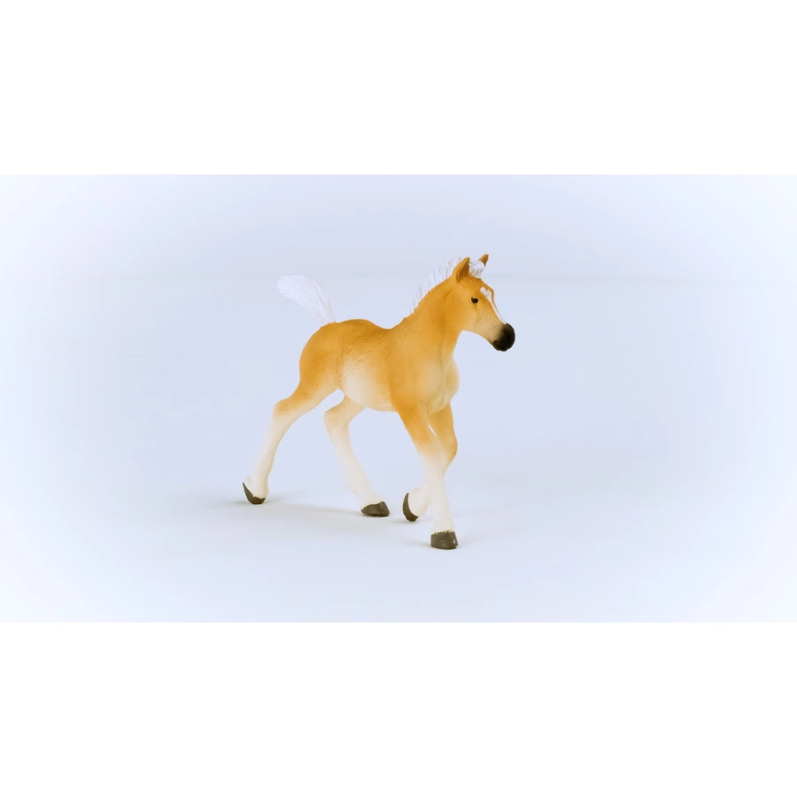 schleich® Haflinger Fohlen 13951