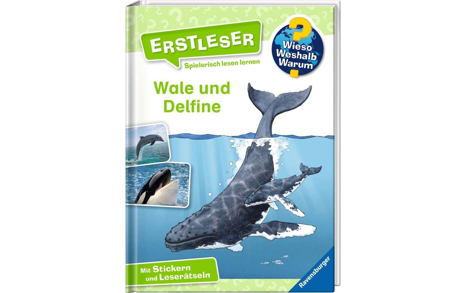 Kinder-Sachbuch WWW Erstleser: Wale und Delfine Band 3Spielerisch lesen lernen