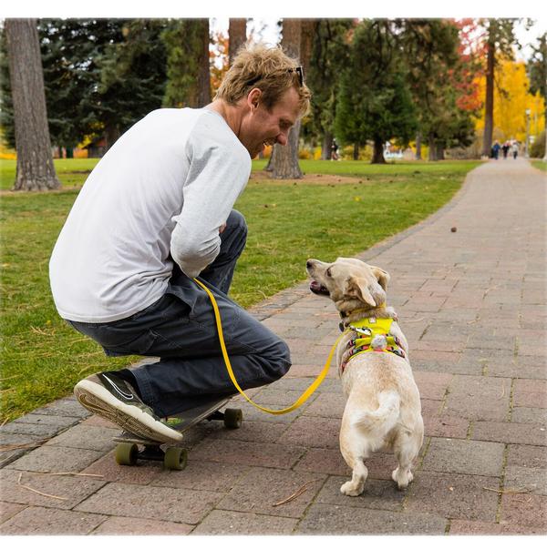 RUFFWEAR® Hundegeschirr Flagline Harness 2.0