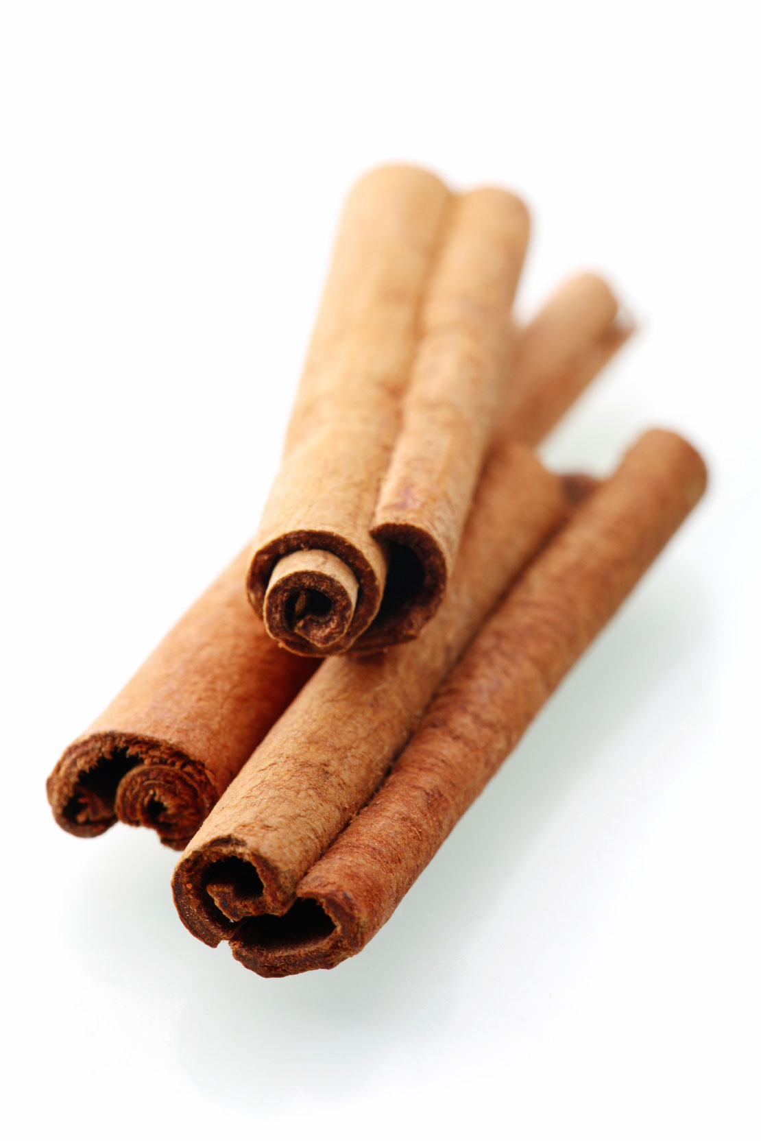 Huile d'écorce de cannelle  Cinnamomum zeylanicum