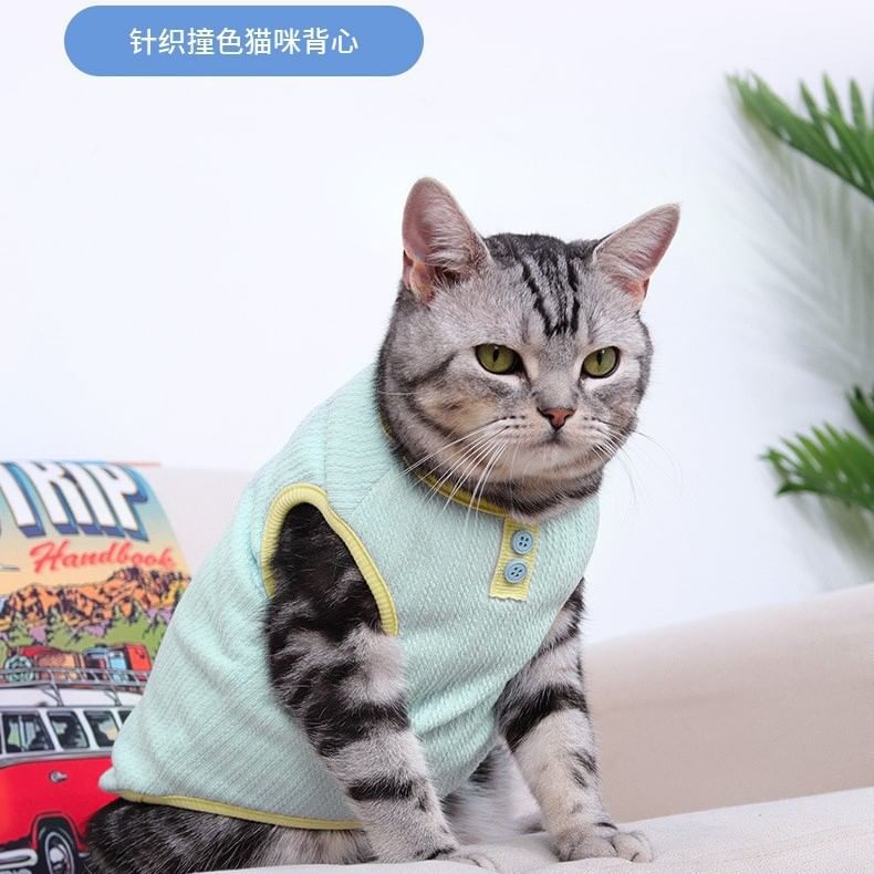 Bubbluff - Gebreide Pet Top met Piping