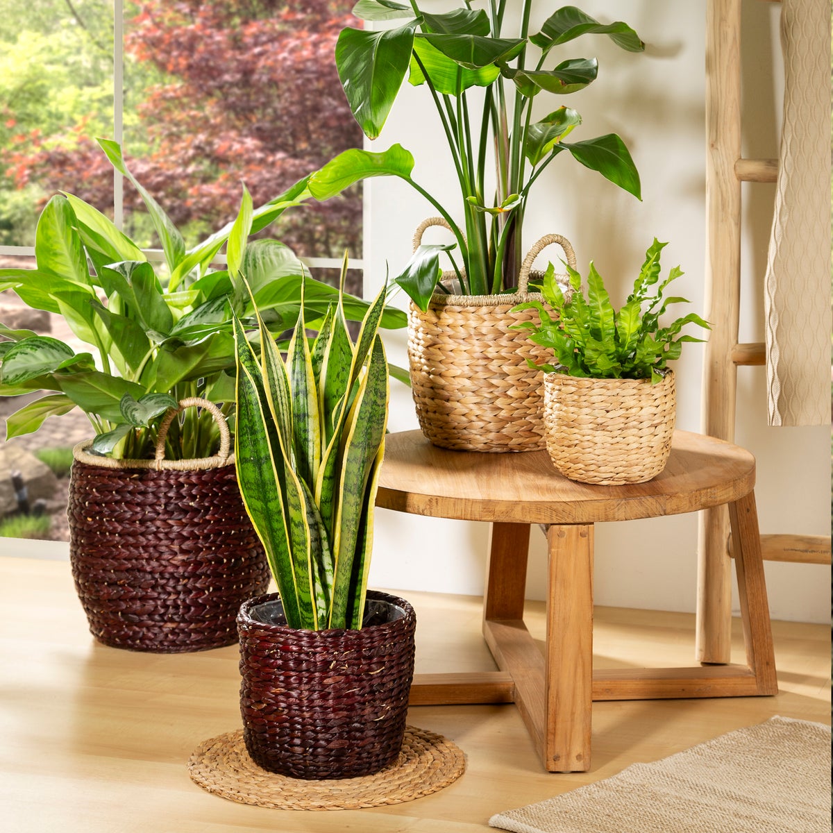 Scheurich Waterhyacint 28, plantenbak/mandpot van waterhyacint, kleur: naturel, diameter 28 cm, hoogte 23,5 cm, inhoud 13,1 l.