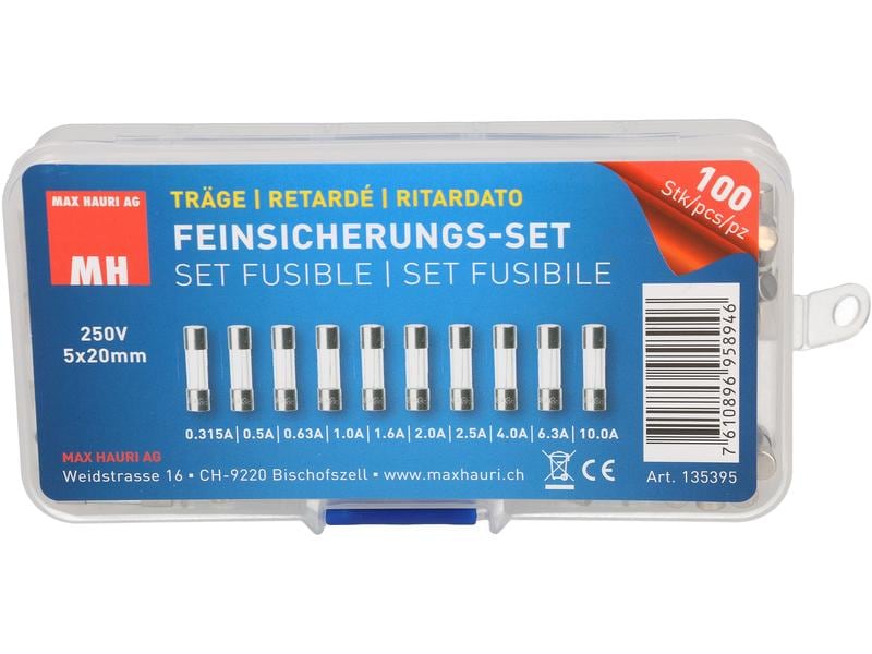 Max Hauri Schmelzsicherung Set 5 x 20 mm Träge, 100 Stück Schmelzsicherungs-Set (Feinsicherung, Träge (T))