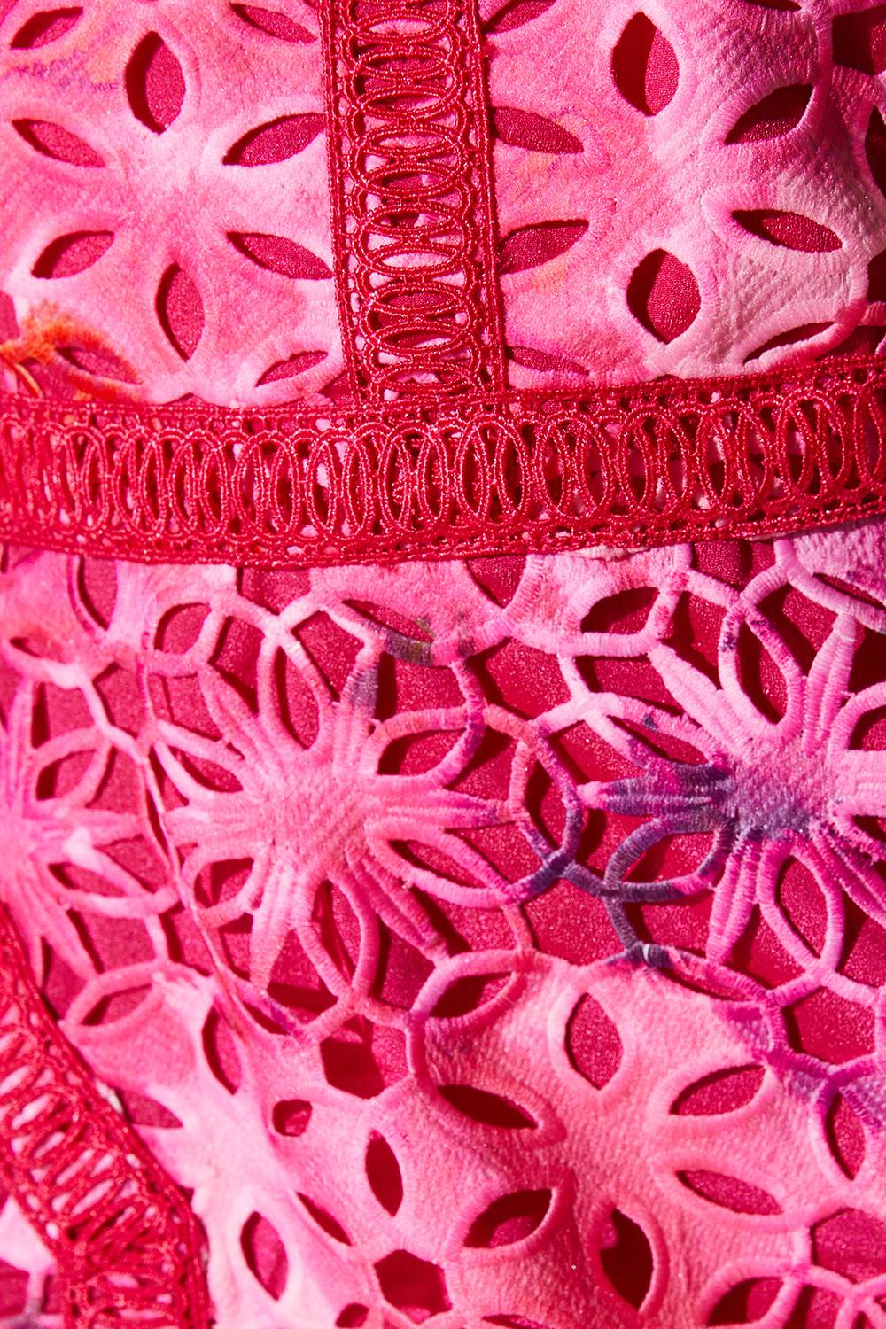 Coast Robe Crayon Mi-Longue en Dentelle Imprimée Petite