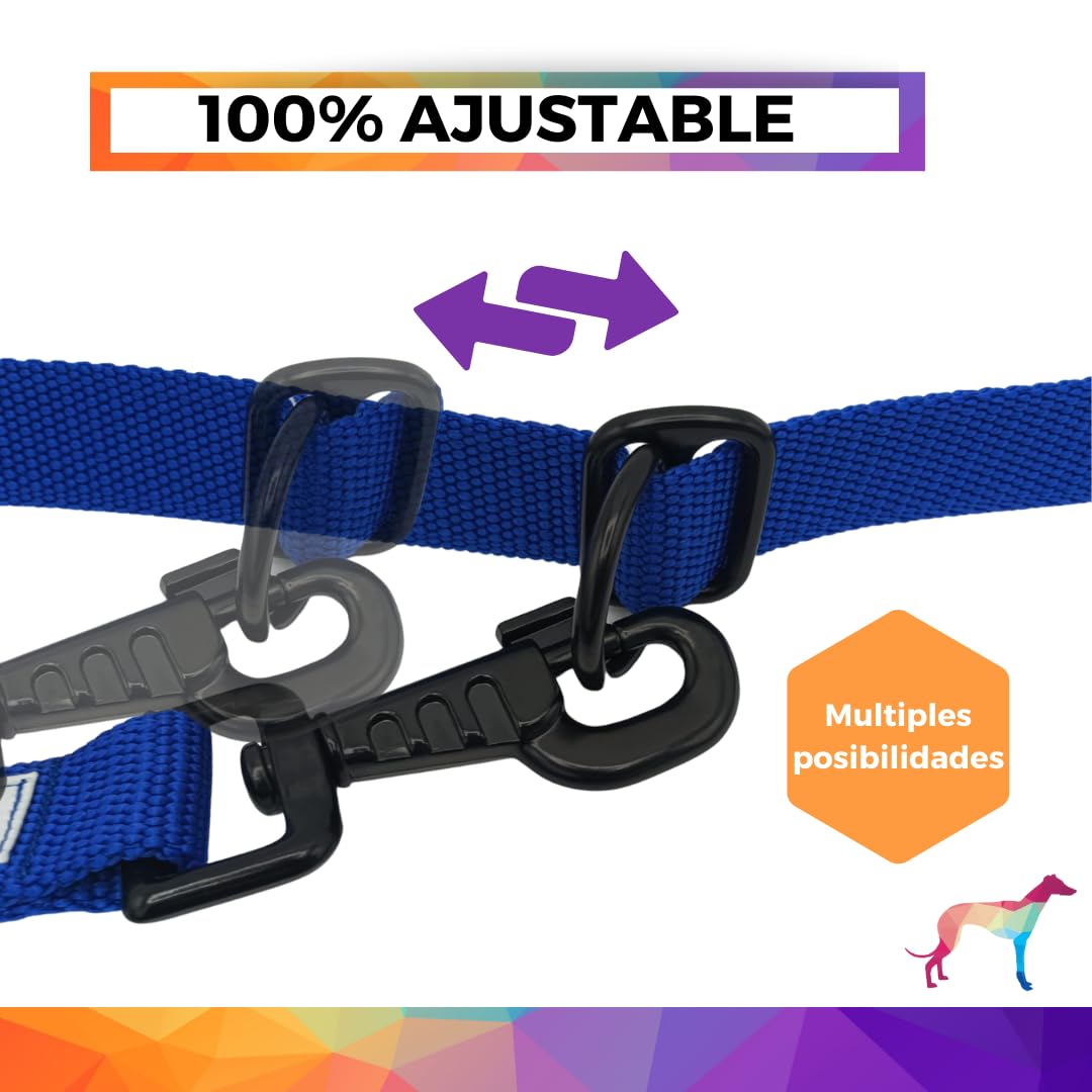 EGV - Guia para cães com múltiplas posições e alça dupla de neoprene. Guia para cães que permite o uso com as mãos livres, com 2,5 metros de comprimento. (Azul Elétrico)