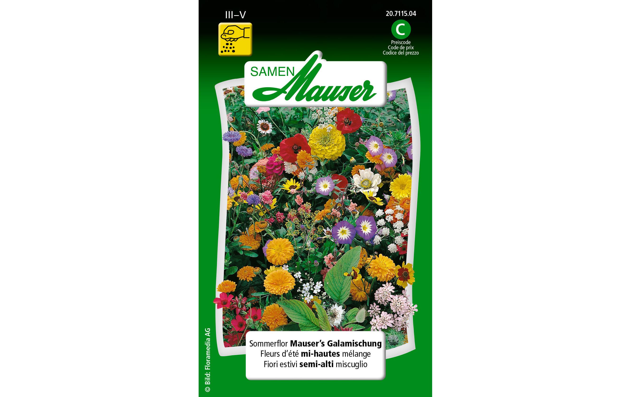 Saatgut Sommerflor Mauser's GalamischungBlumensamen