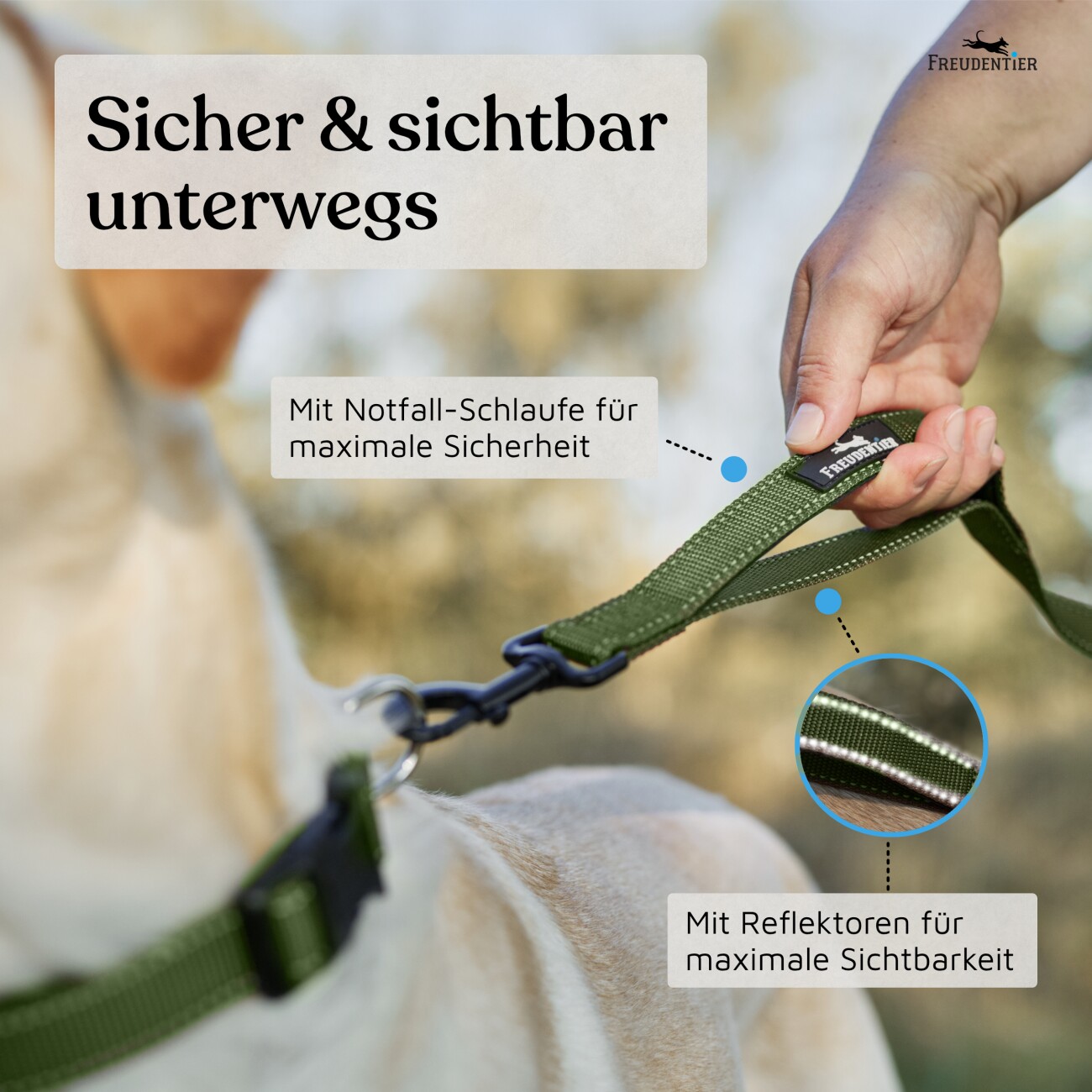 Freudentier UrbanFlow Umhängeleine, Hundeleine 3m oliv