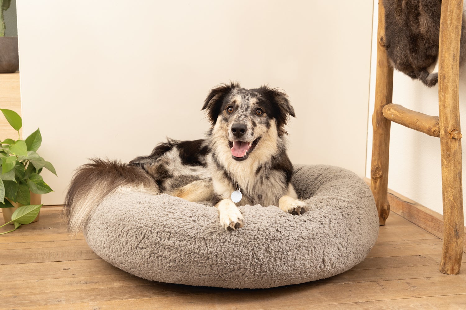Beeztees hondenmand Jaxx grijs D 50 H 20 cm