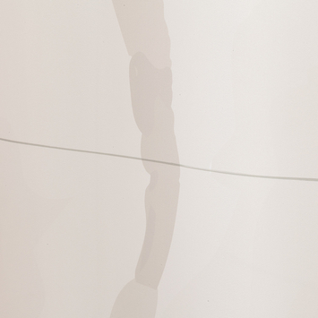 Sealskin douchegordijn earth 180x200cm donker groen /wit