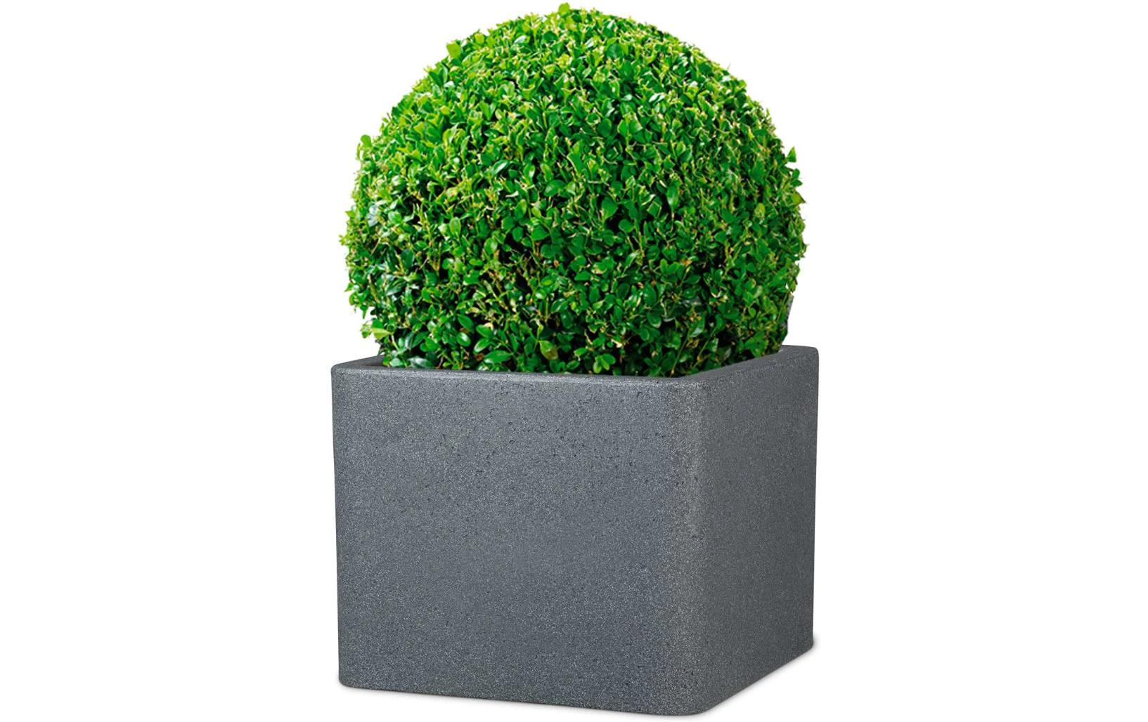 Alea 40/140 GranitPflanzengefäss