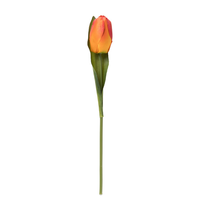 Tulp - diverse varianten - 30 cm
