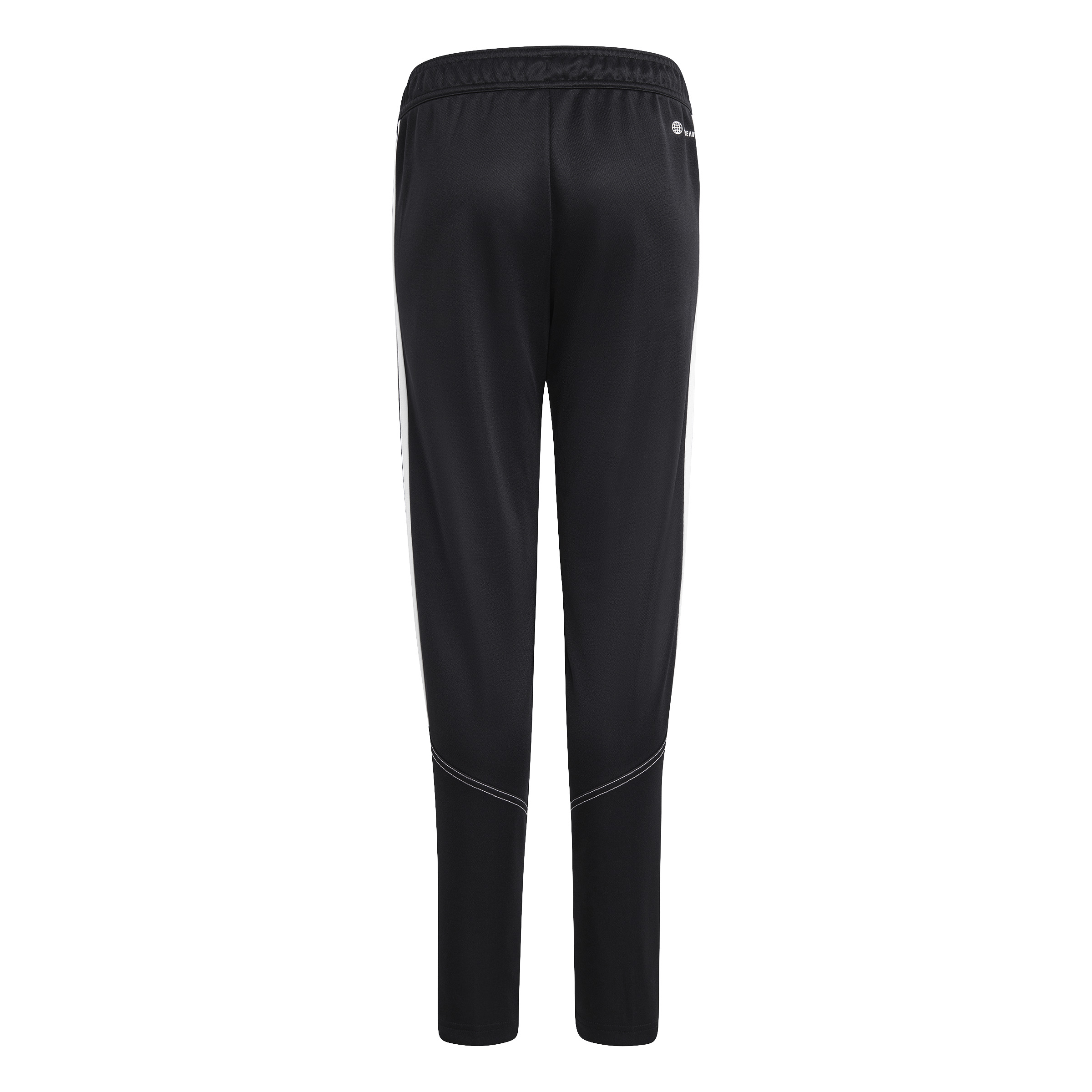 Adidas TIRO23 CBTRPNTY