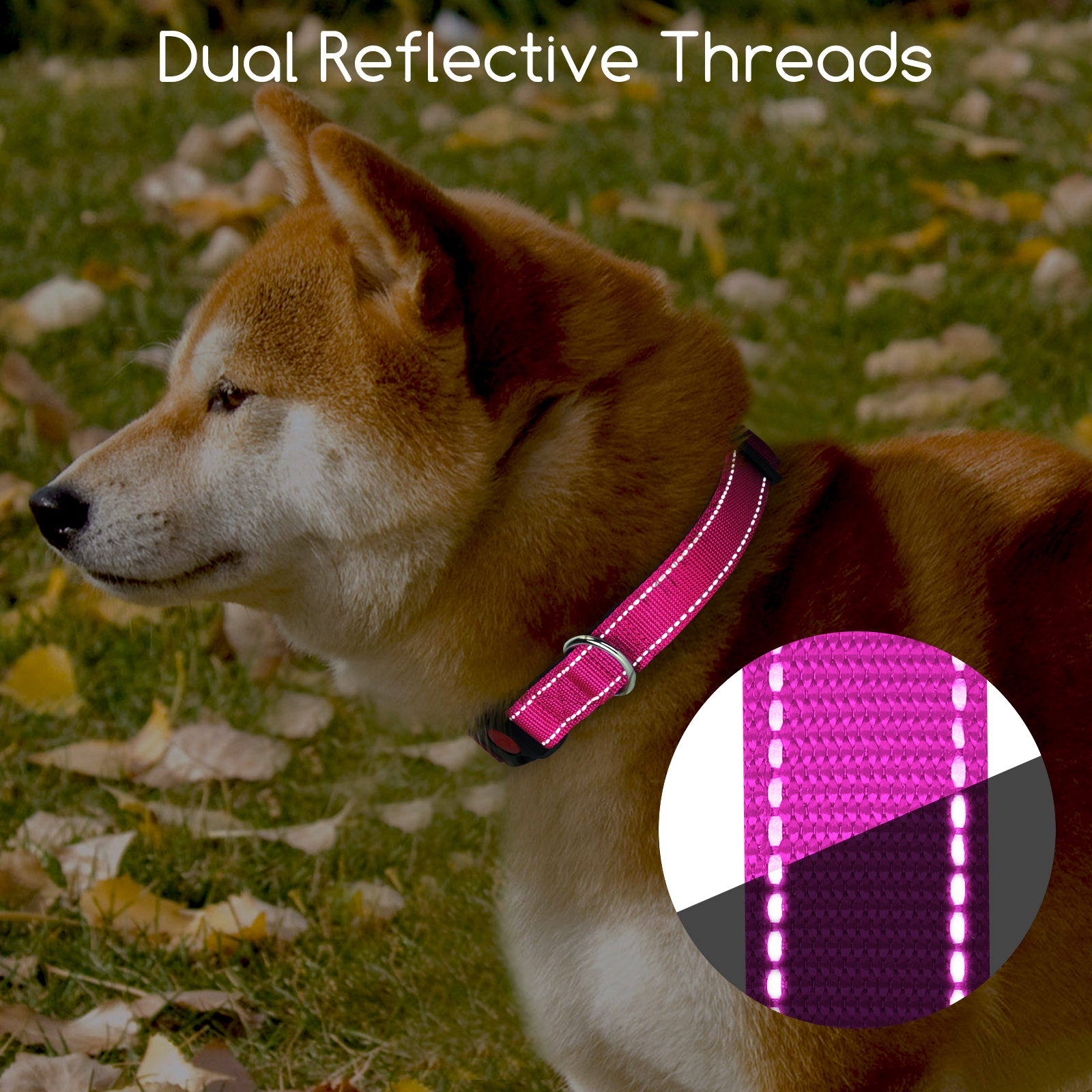 Nobleza - 2 coleiras para cães, coleira de nylon macia e acolchoada com detalhes refletivos, coleira ajustável para cães grandes com trava de segurança, coleiras para treinamento de cães (G, rosa)