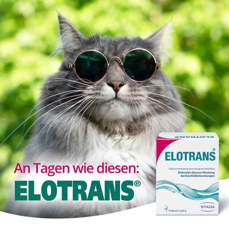 Elotrans Pulver, 10 St