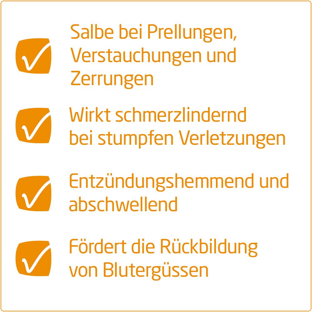 Arnika-Salbe 30% zur wirksamen Behandlung von Prellungen, Hämatomen, Zerrungen und Quetschungen