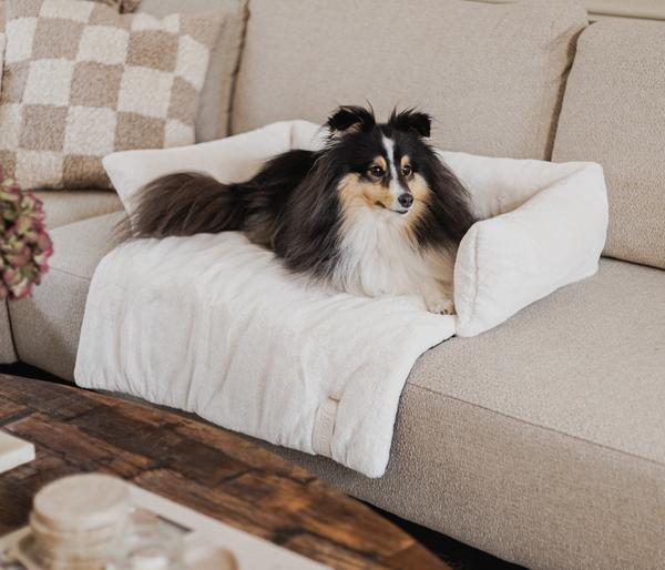 District 70 Hundesofa Nuzzle