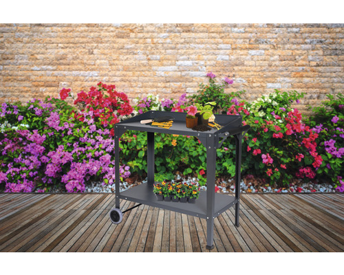 Plantenwagen op wielen 95 x 55 x 74/81 cm antraciet