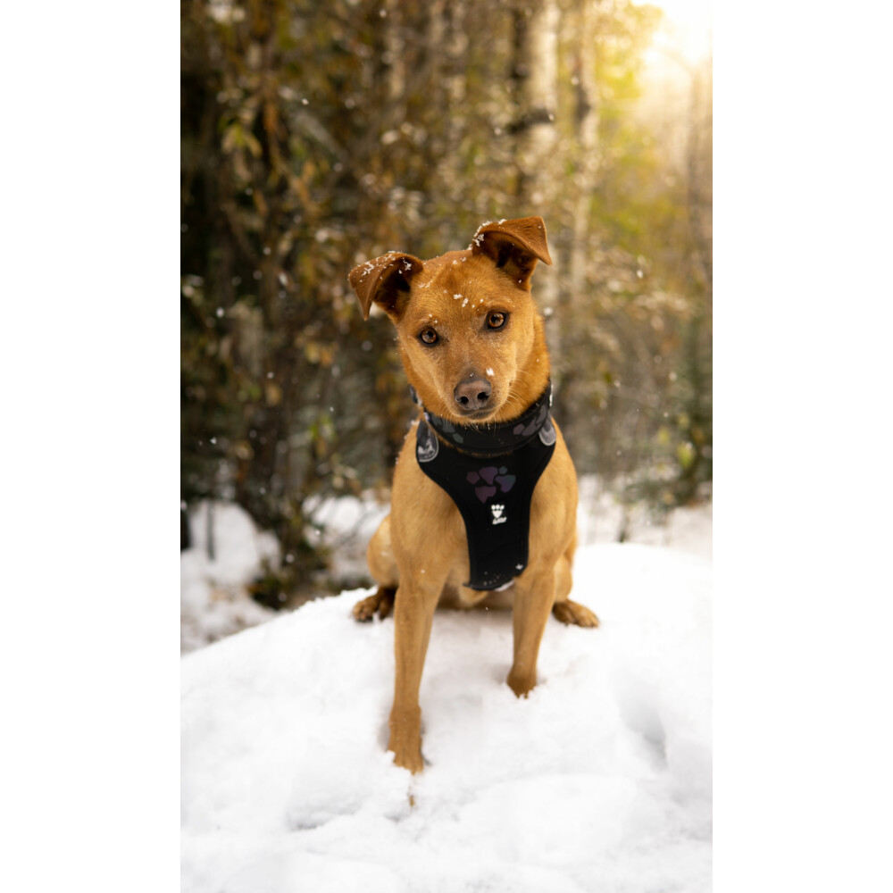 Hurtta Weekend Warrior Harness Zwart80 - 100 cm