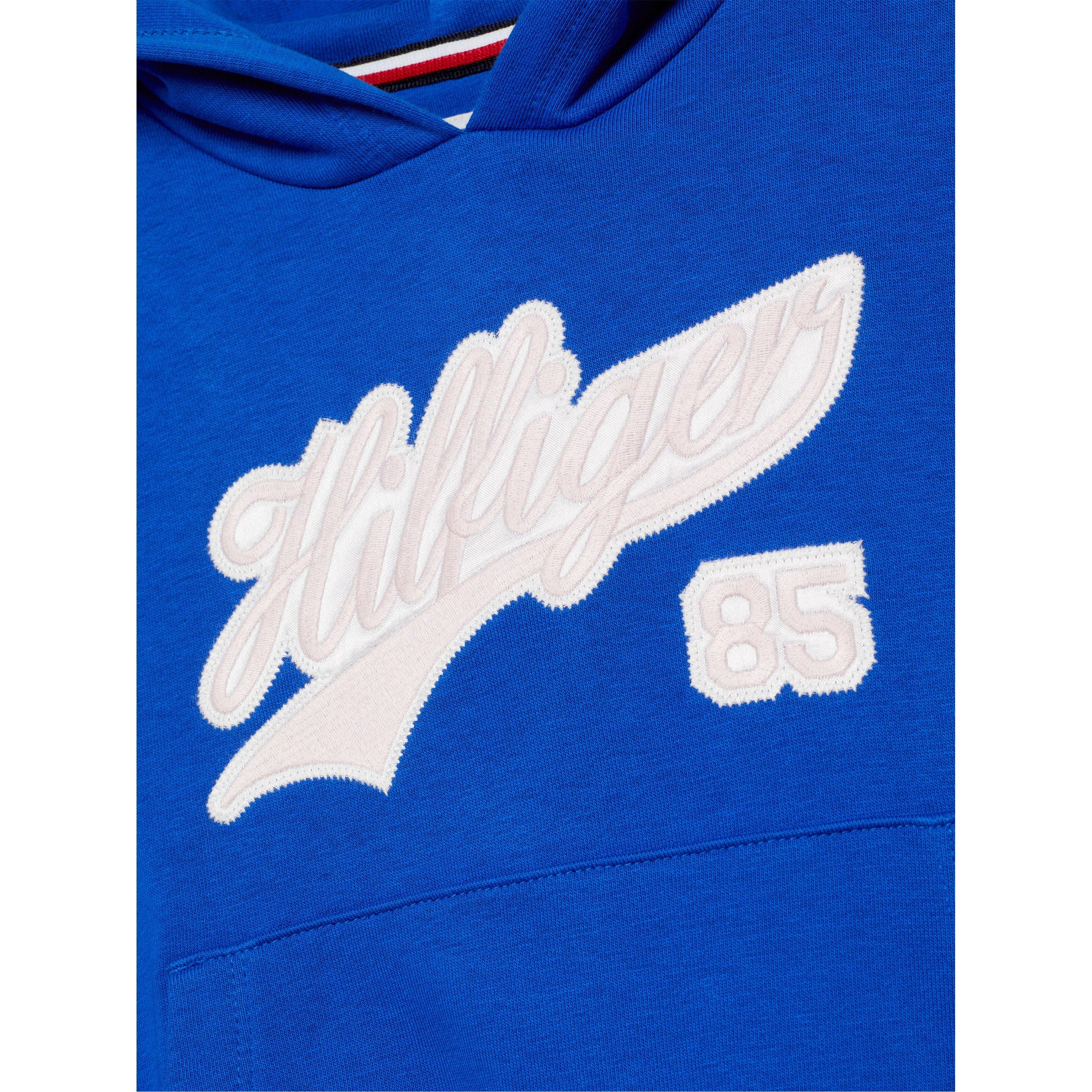 Tommy Hilfiger Script Logo Hoodie Juniors