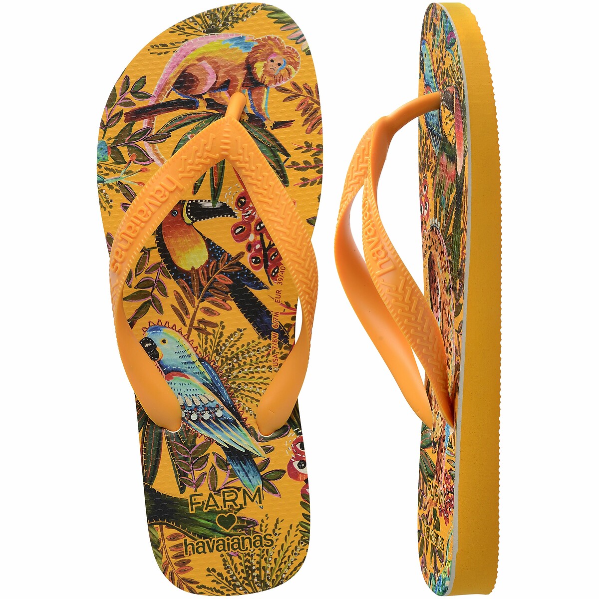 HAVAIANAS<br>Chinelos x Fazenda Rio Selva