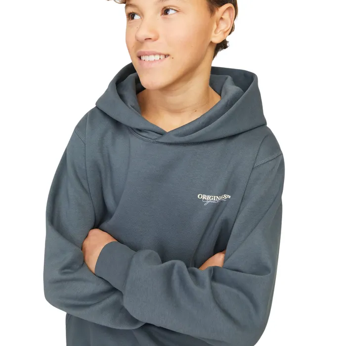 Jack & Jones Joris Lington Hoodie Junior