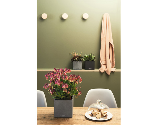Canto Stone kunststof bloempot, 14x14x14 cm, steengrijs, inclusief grondbewateringssysteem en waterniveau-indicator