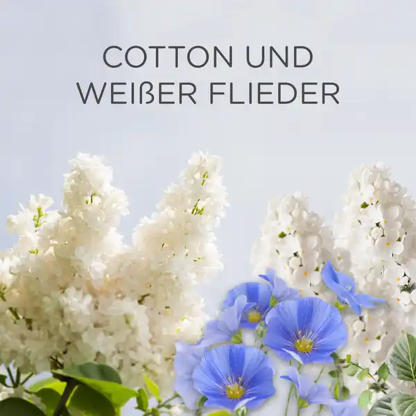 Duftölflakon Nachfüller Duo Cotton & Weisser Flieder