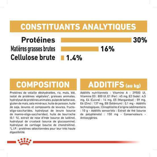 Croquettes chien Jack Russell Adulte plus de 10 mois 3kg