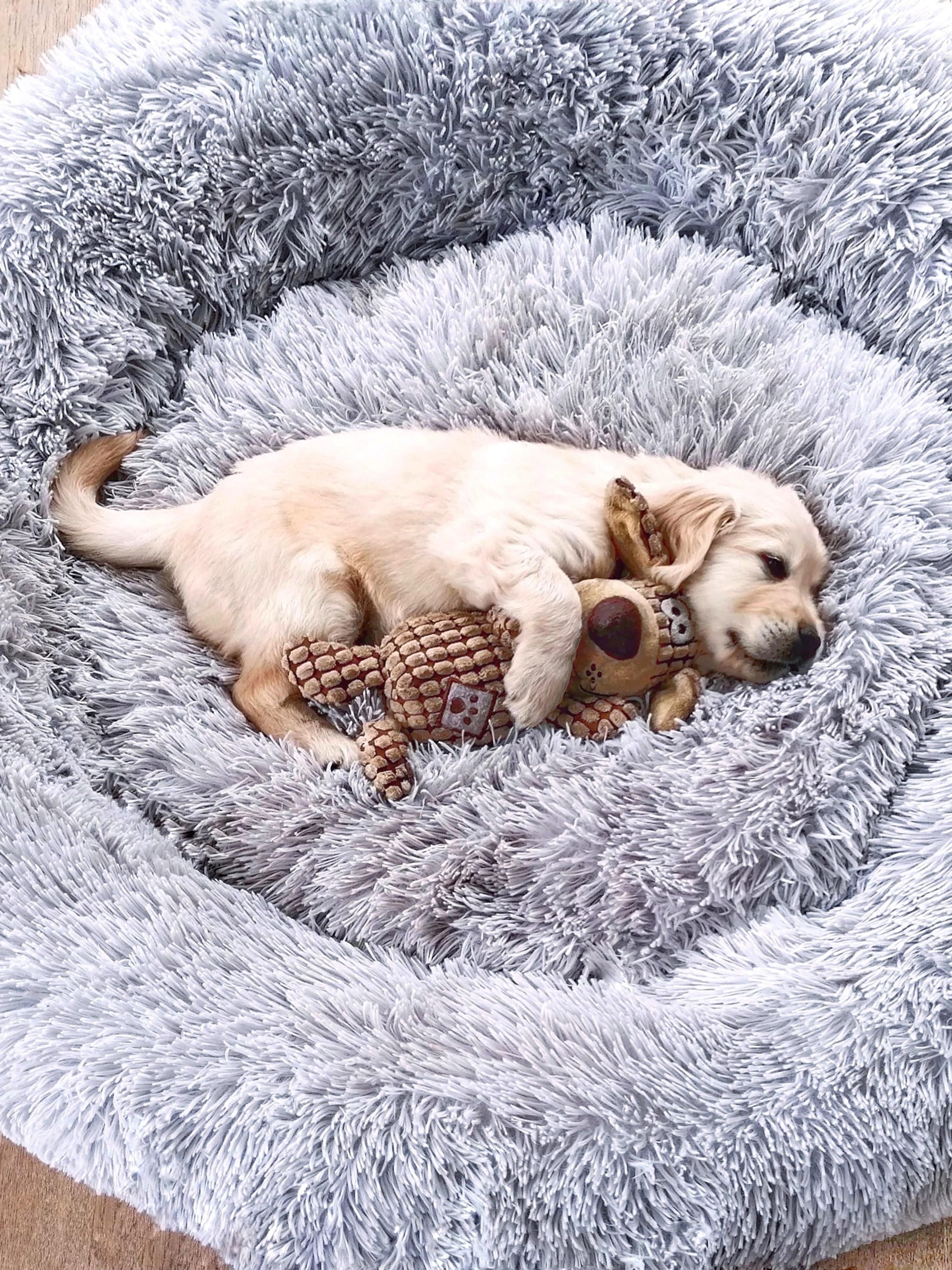 Huisdierbed Fluffy van teddy stof, in verschillende formaten