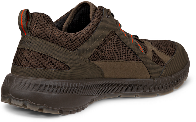 Ecco Terracruise II Herrenschuhe
