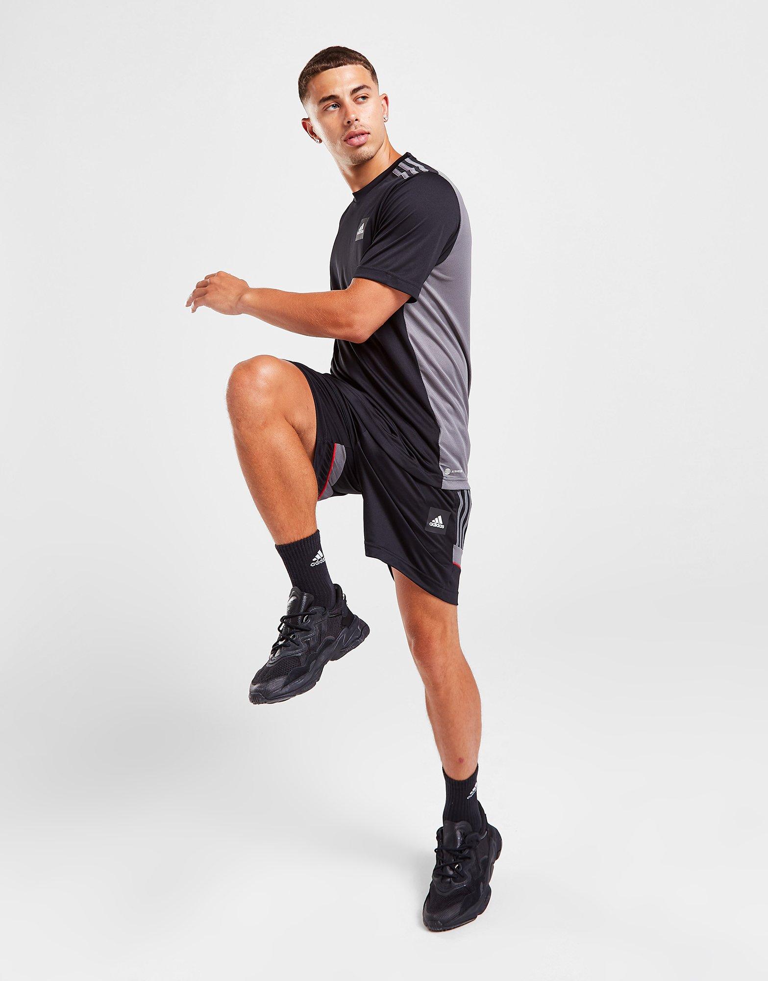 adidas Short de Match Homme