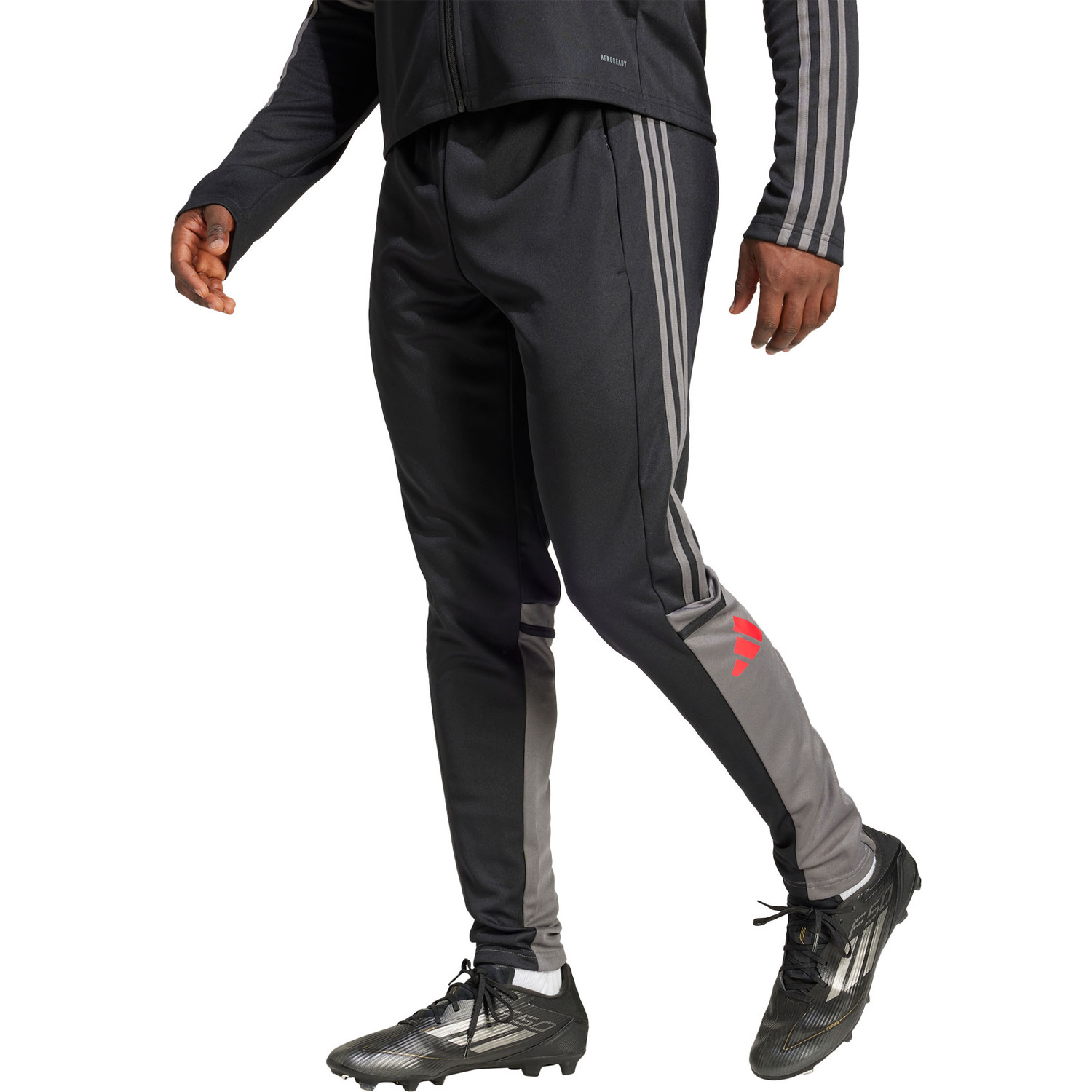 adidas Squadra 25 Training Pant
