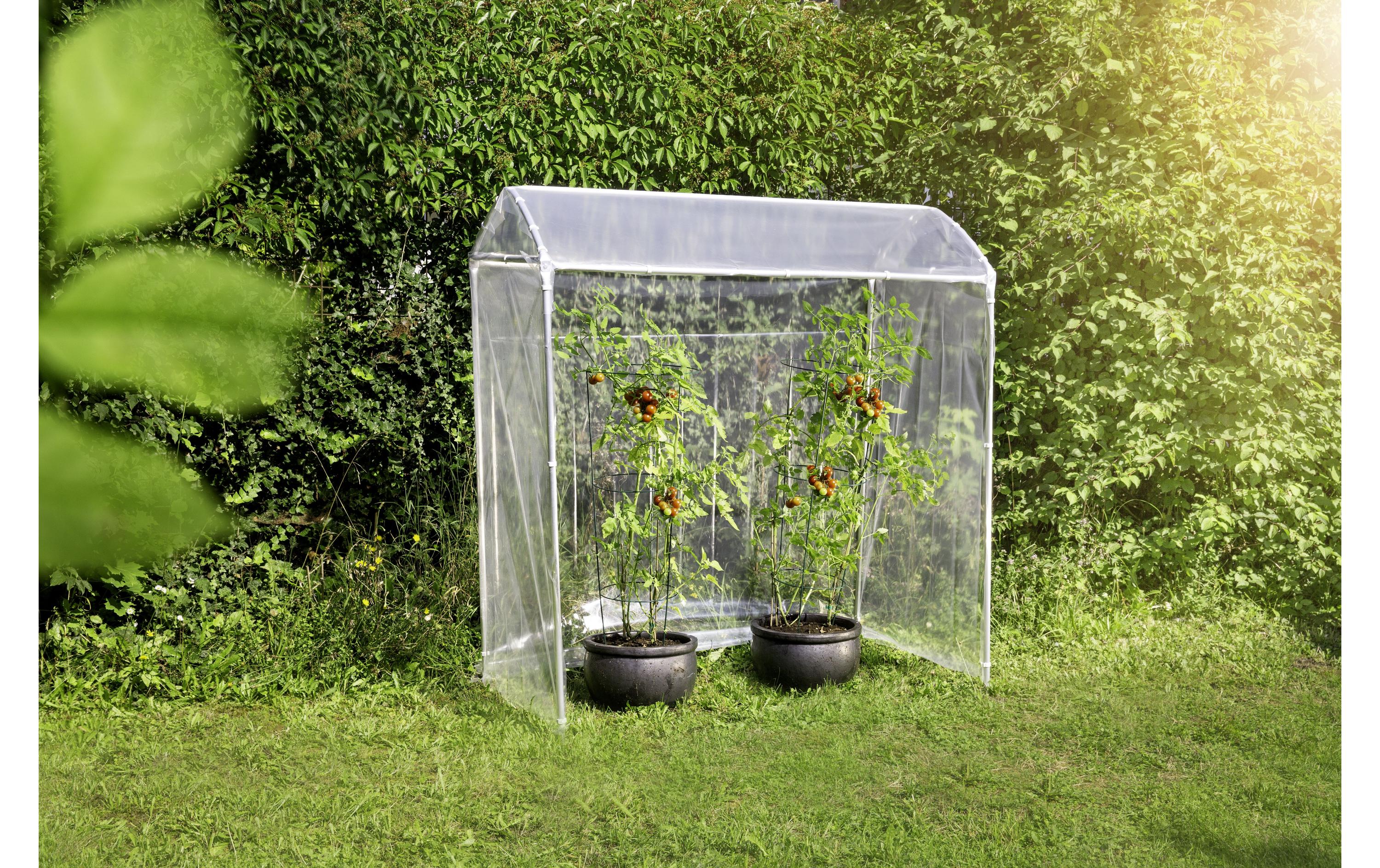Tomatenhaus AluProfiOptimales Wachstum dank Treibhauseffekt