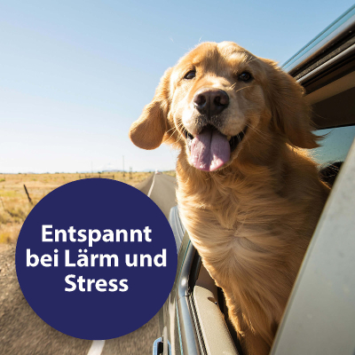 Canosept Home Comfort Beruhigungshalsband Hund