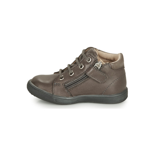 GBB - FOLLIO - Gris