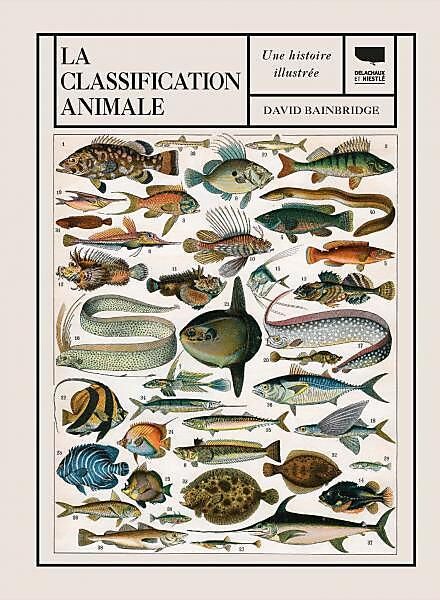 DELACHAUX  NIESTLE - LA CLASSIFICATION ANIMALE