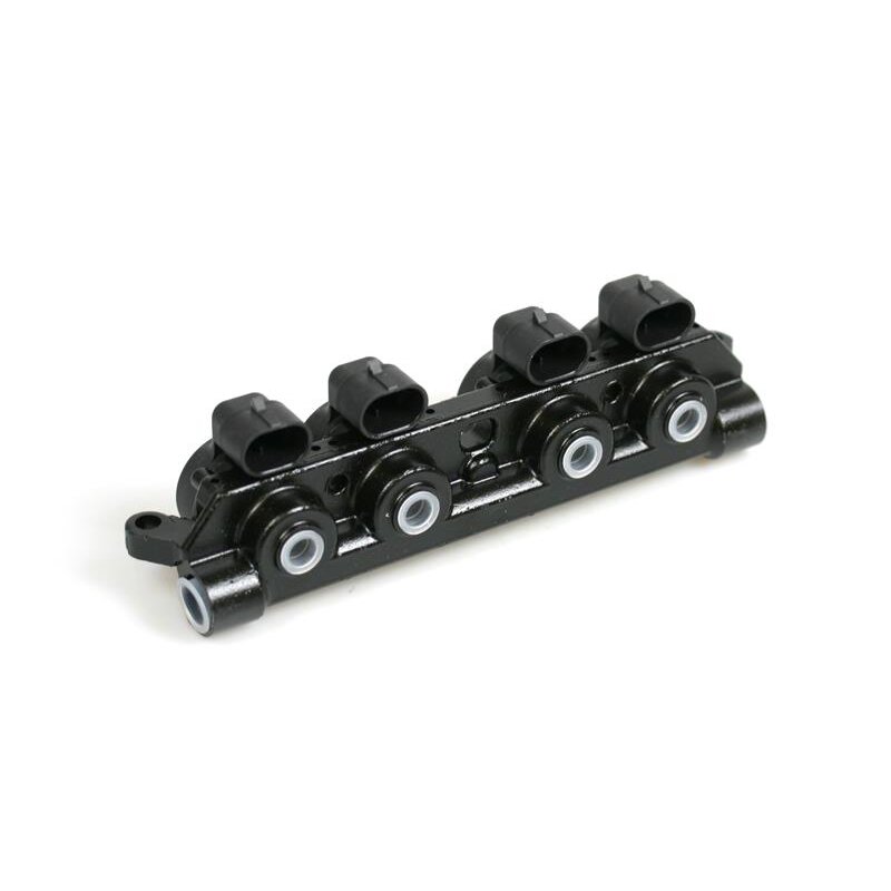 AEB R4S Injektor LPG CNG 4 Zylinder